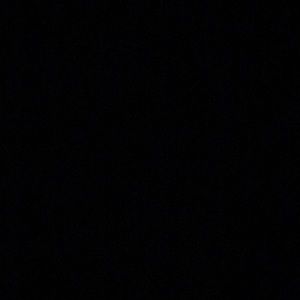 Meet your Posher, Brady